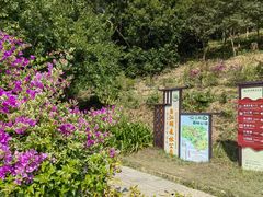 -广州白江湖森林公园