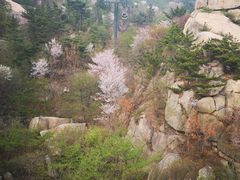 -崂山巨峰游览区