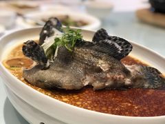 豆豉蒸鲟龙鱼-万龙洲海鲜(大兴绿地缤纷城店)