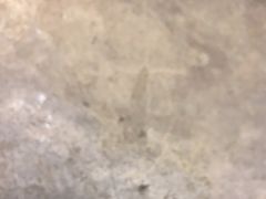 -霸王虾·麻辣小龙虾(清水河公园店)