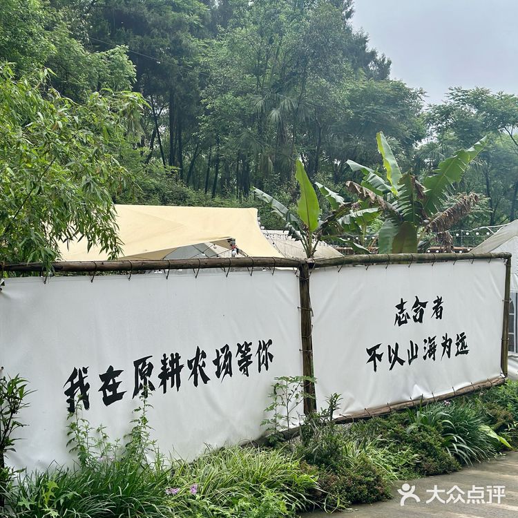 为了这一口鸡汤我愿意再来N次！！