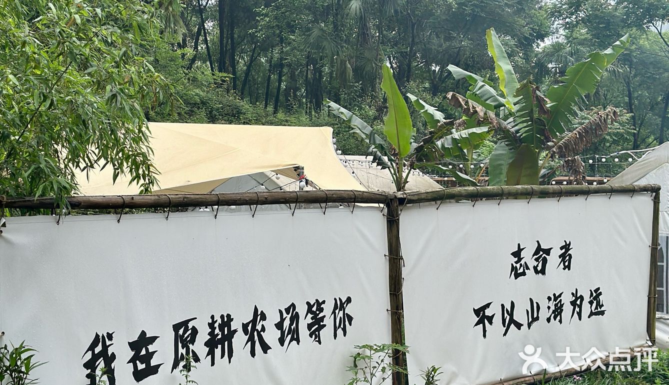 为了这一口鸡汤我愿意再来N次！！