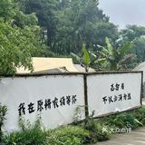 为了这一口鸡汤我愿意再来N次！！