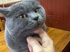 -老北京褡裢火烧·任记