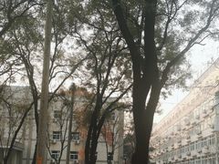 -西安交通大学第一附属医院(总院)