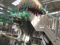 -南宫五洲植物乐园