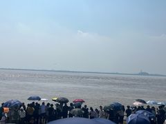 -观潮胜地公园