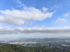 -阳台山森林公园
