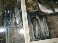 -三乐海鲜水饺馆