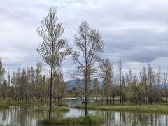 -野鸭湖国家湿地公园