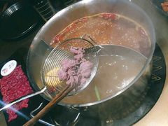 -手选潮汕鲜活牛肉火锅(二七广场店)