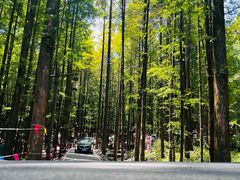 -山王坪喀斯特国家生态公园