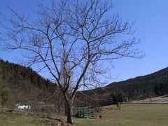 -武陵山森林公园