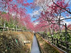 -维乐口腔医院(福清院)