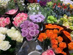 -双季花艺园艺市场(浦东店)