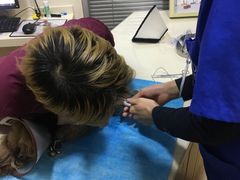 -芭比堂宠物医院·全科爱猫医院·仁德分院