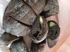 -木子木水日式烫面包(世界城光谷店)