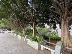 -黄埔古港