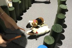 -酷嗒动物文化乐园(cutezoo西溪乐天城店)