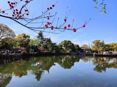 -无锡蠡湖国家湿地公园-蠡园