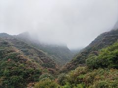 -黄花溪
