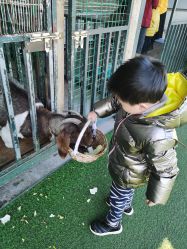 -小蜜蜂农场(凯德七宝购物广场店)