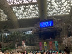 -杭州开元森泊度假乐园