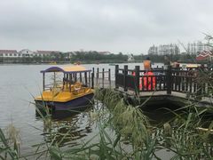 -上海长兴岛郊野公园