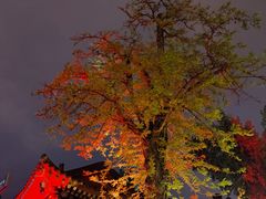-亚皆老街南宁老友粉·米粉(印象城店)