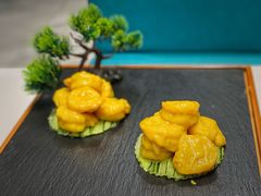 -丁老爷子苏香圆