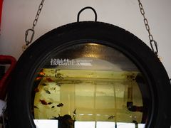 -陶野咖啡·面包披萨