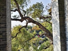 -江心屿景区