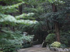 -虎跑公园