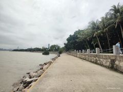 -深圳湾公园(南山区)