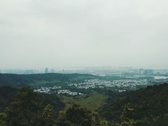 -旺山景区