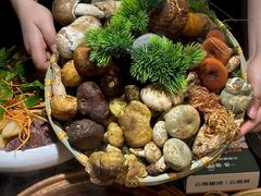 -一善菌·云南菌汤·云南菜(银泰城店)
