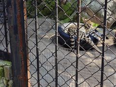 -大连森林动物园