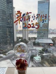 -巍阁高端月子会所