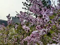 -西海子公园