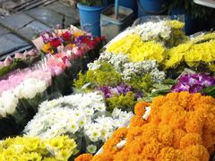 -瓦洛洛传统市场