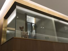 -悠尼宠物·独立低压伊珊娜洗护·美容·寄养(兰谷路店)