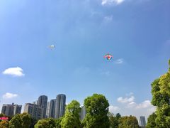 景点-重庆彩云湖湿地公园