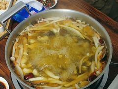 -菌极鲜野生菌火锅店(阳明祠店)