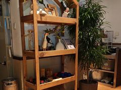 -木屋烧烤(南新店)