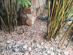 -咸宁万豪温泉谷度假区