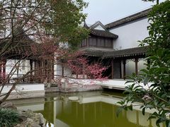 -秋霞圃