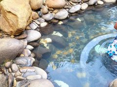 -庐山西海国际温泉度假村