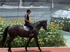 -迪茵湖田家舍生态农场