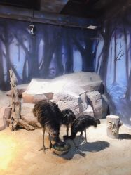 -酷嗒动物文化乐园(cutezoo西溪乐天城店)