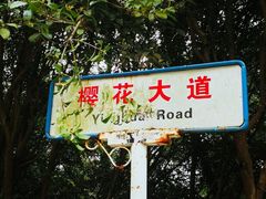 -武汉大学-樱园